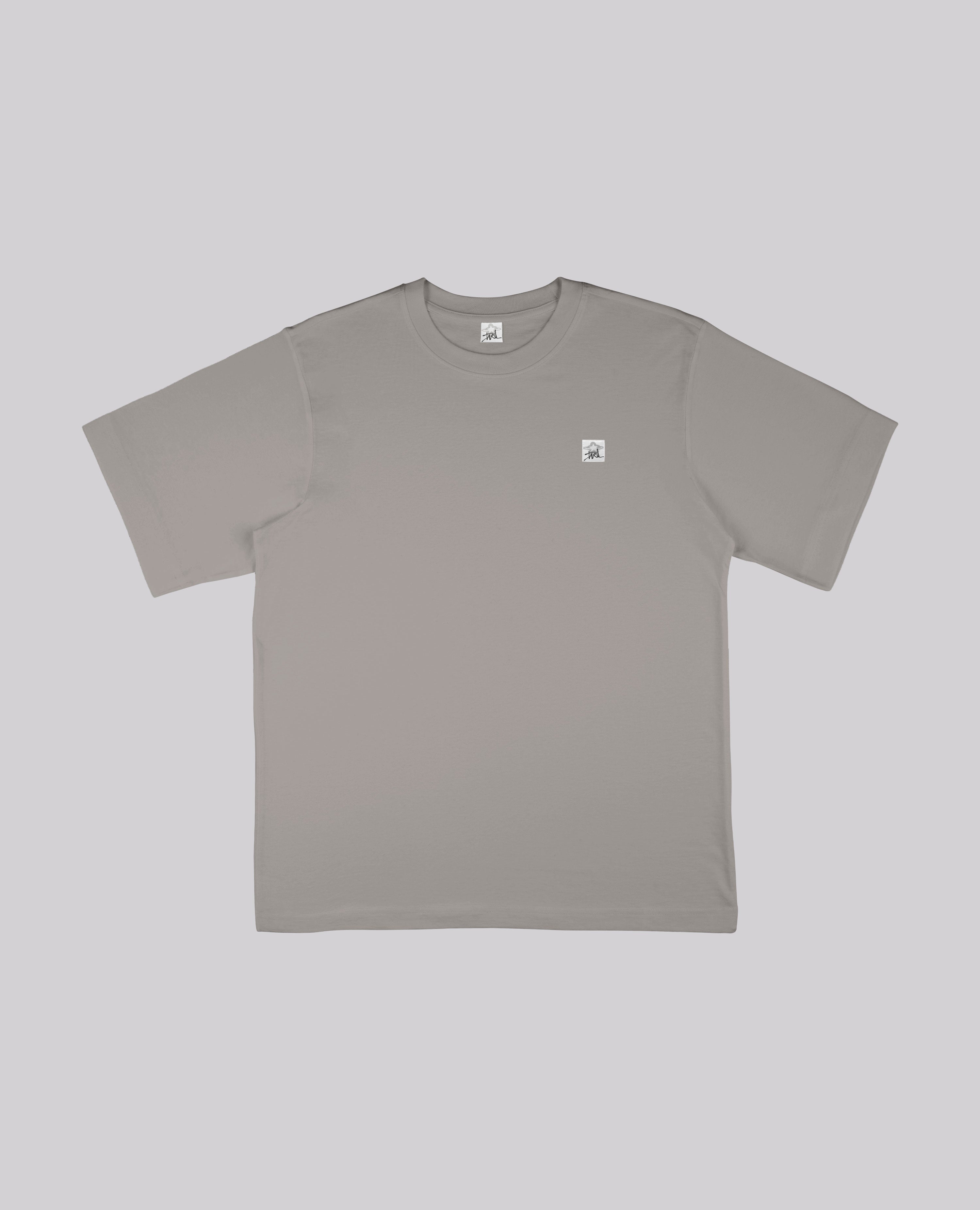 DAVRILSUPPLY グラフ グレー T シャツ
